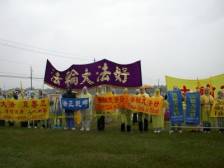 Written with SASuite