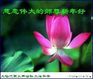 Written with SASuite