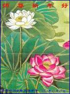 Written with SASuite