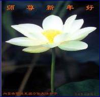 Written with SASuite