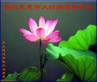 Written with SASuite