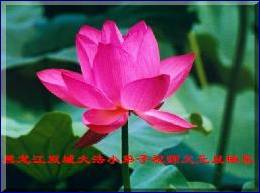 Written with SASuite