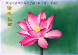 Written with SASuite