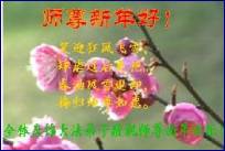 Written with SASuite