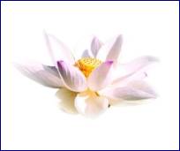 Written with SASuite