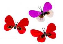 Written with SASuite