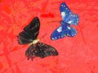 Written with SASuite