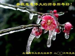 Image for article Les pratiquants de Falun Dafa dans les universités et collèges en Chine souhaitent au Maître estimé une Bonne Année (Photos)