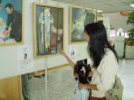 Written with SASuite