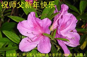 Image for article Les disciples de l’armée et du gouvernement souhaitent à Maître une très bonne année (Photos)