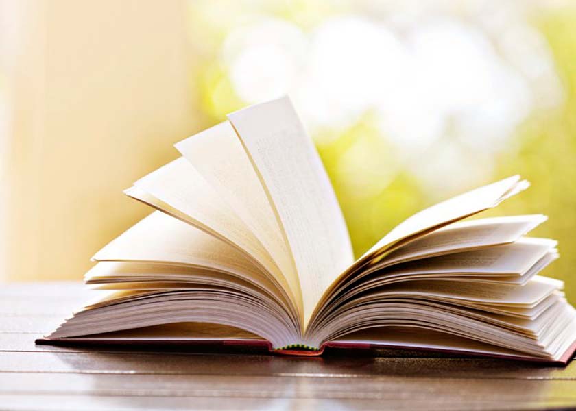 Image for article Attention SVP (Photos)