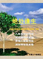 Image for article Immergée dans la lumière de Bouddha, je vis dans l'éternité