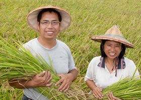 Image for article Un brillant entrepreneur fait un retour à l'agriculture réussi grâce à la nouvelle sagesse acquise en pratiquant Falun Dafa 