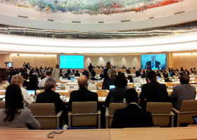 Image for article La collecte d’organes en Chine fait l'objet de l’attention des Nations Unies