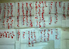 Image for article Une pétition demande la libération de deux pratiquantes de Falun Gong