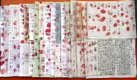 Image for article Chenzhou, province du Hunan : Une pétition de plus de 4 000 signatures pour libérer les pratiquants de Falun Dafa détenus