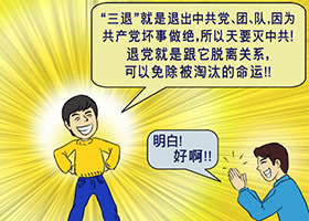 Image for article Gold Coast, Australie : Les touristes chinois expriment leur gratitude pour les informations libres et factuelles