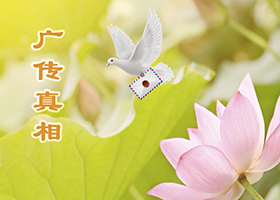 Image for article Taïwan : Partage d’expérience sur comment mieux clarifier les faits au sujet de la persécution du Falun Gong au peuple chinois (Photo)