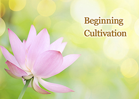 Image for article Un nouveau mode de vie pour un designer d’intérieur