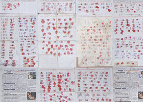 Image for article 5 894 Chinois signent la pétition contre les prélèvements d'organes