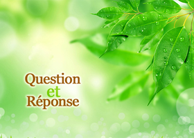 Image for article Lettre à l'éditeur : « Est-ce que le Falun Gong guérit toutes les maladies ? »