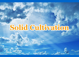 Image for article Les pratiquants de Falun Dafa aux yeux d'un être éveillé (1ère partie)