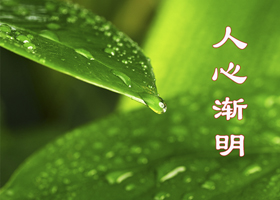 Image for article Heureuse rencontre pendant la pandémie