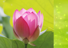 Image for article « La vérité est juste en face de nous »