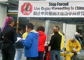 Image for article Perth, Australie : « Je veux être une force pour un changement positif »