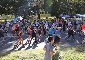 Image for article Présenter le Falun Gong au City to Surf Fun Run à Sydney