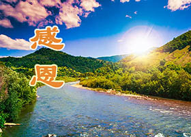 Image for article Vœux pour une bonne fête du Nouvel An reçus du monde entier