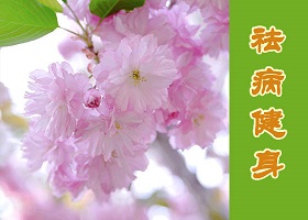 Image for article Le Falun Dafa m'a donné une nouvelle vie