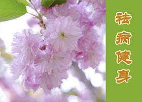 Image for article Ma tumeur a disparu