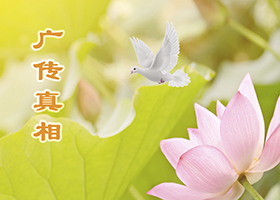 Image for article Les habitants de Hong Kong sont en sécurité pendant la pandémie