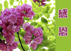 Image for article Souvenirs des conférences de Maître Li en Chine