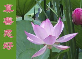 Image for article Comment le fait de recevoir des billets de banque contrefaits nous a aidés à éliminer notre attachement à l'argent