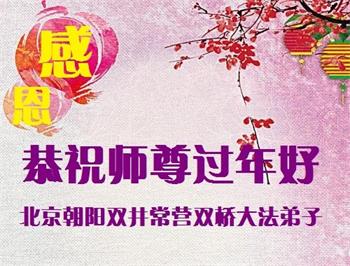 Image for article Les pratiquants de Falun Dafa dans des groupes d'étude du Fa remercient Maître Li pour son salut compatissant