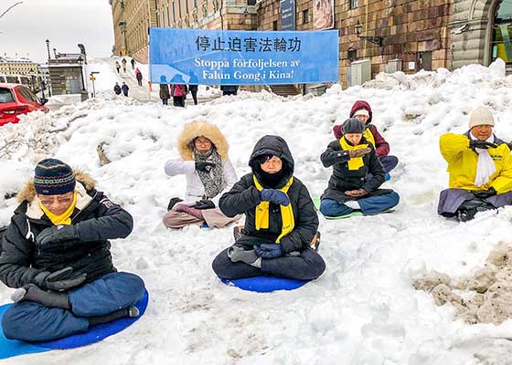 Image for article Des passants à Stockholm touchés par les pratiquants sensibilisant à la persécution malgré une neige abondante