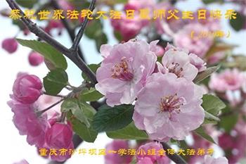 Image for article Les pratiquants des sites de pratique collective à travers la Chine souhaitent au vénérable Maître Li un joyeux anniversaire !