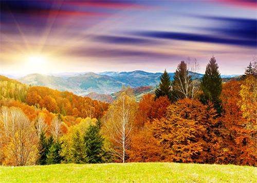 Image for article [Célébrer la Journée mondiale du Falun Dafa] Musique : La lumière de l'espoir