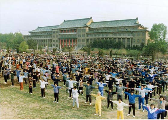 Image for article Souvenirs du site de pratique de notre région