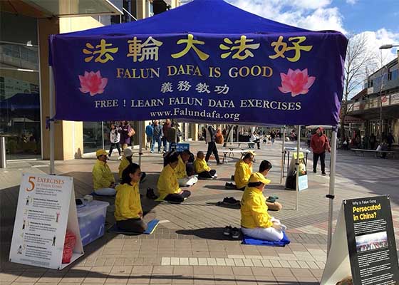 Image for article Des Australiens expriment leur admiration des pratiquants pour leurs constants efforts pour mettre fin à la persécution : « Beaucoup de gens vous soutiennent »