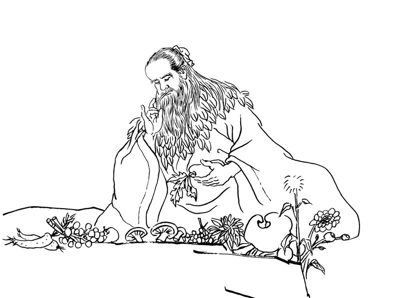 Image for article L’histoire de Shennong et le festival du Roi de la Médecine