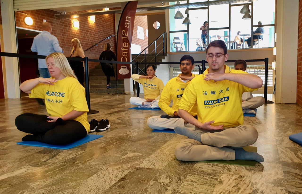 Image for article Suède : Le Falun Gong apporte sérénité et couleur lors de la fête de la santé de Norrköping