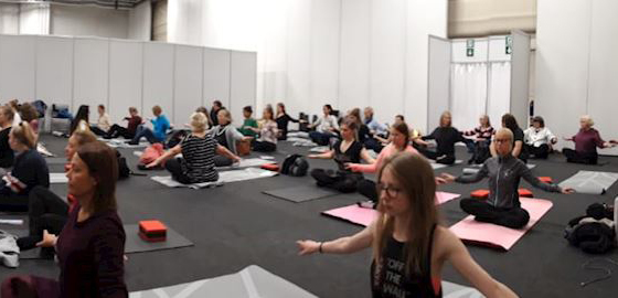 Image for article Présenter le Falun Gong dans le cadre d’une exposition à Helsinki