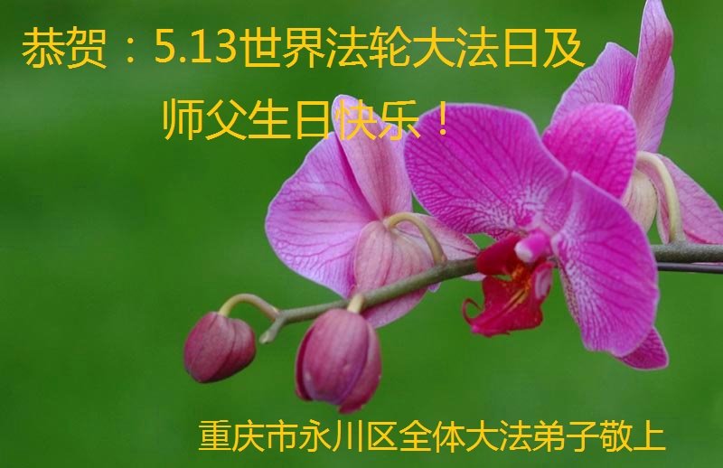 Image for article Les pratiquants de Falun Dafa de Pékin célèbrent la Journée mondiale du Falun Dafa et souhaitent respectueusement à Maître Li Hongzhi un joyeux anniversaire ! (21 vœux)
