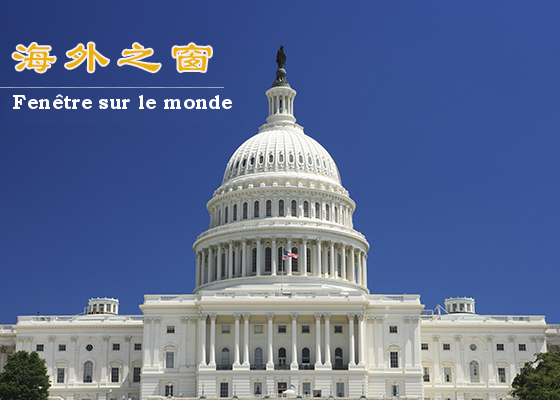 Image for article Les négationnistes et les partisans de la fraude électorale s'affrontent lors de la première audition du Sénat américain sur la fraude électorale