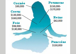 Image for article Le PCC dissimule son crime de prélèvements forcés d’organes avec un enregistrement de « dons volontaires d’organes »