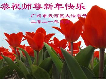 Image for article Les pratiquants de Falun Dafa de la ville de Guangzhou souhaitent respectueusement au vénérable Maître Li Hongzhi une Bonne et Heureuse Année ! (24 vœux)