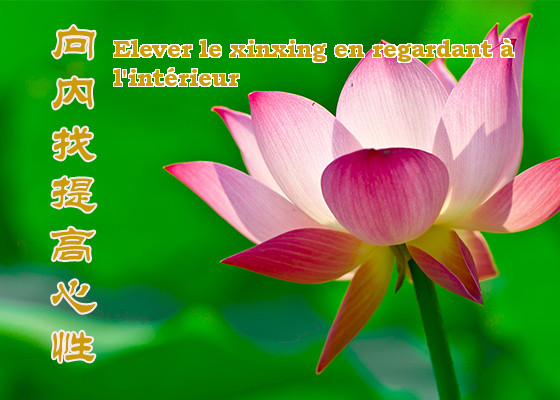 Image for article Éliminer les conceptions de l’ego et de l’infériorité